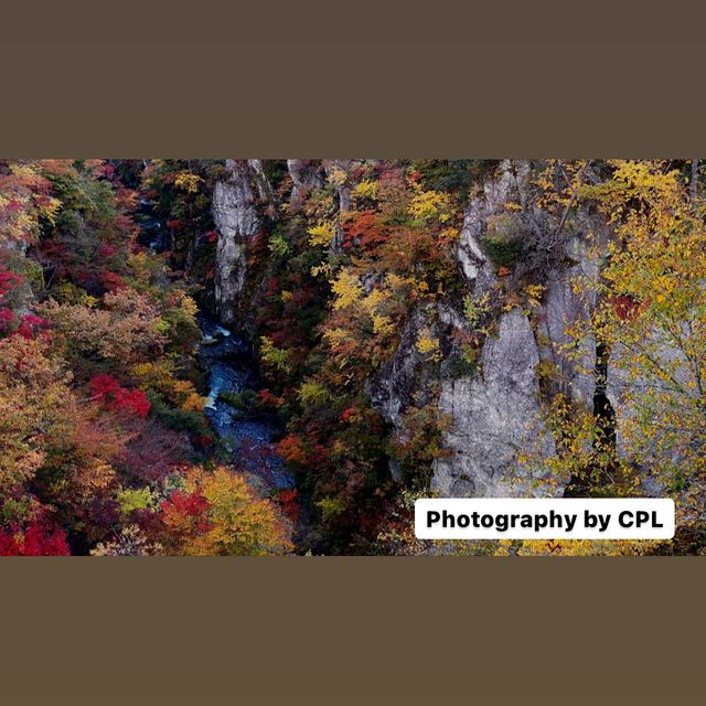 Stunning autumn view in Japan! Stunning autumn view in Japan!