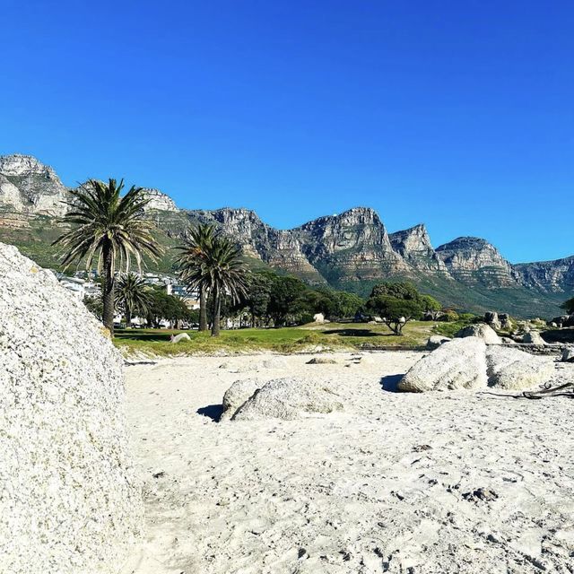 Camps Bay Beach, Cape Town 👙🏝️☀️