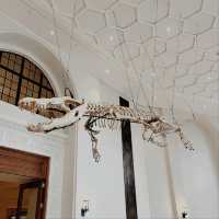 National Museum of Natural History, Manila