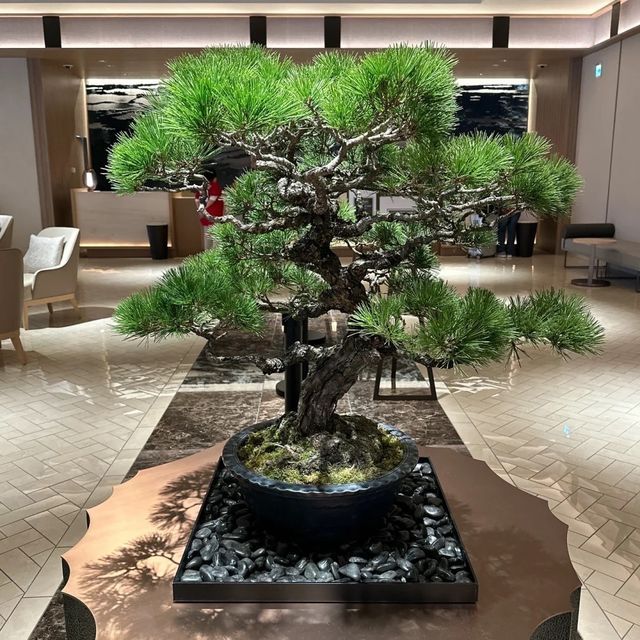 日式奢華🐦希爾頓廣島