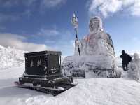 ❄️日本山形縣藏王山三種體驗：溫泉♨️滑雪⛷️樹冰❄️