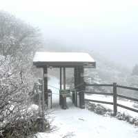 제주 🗻한라산🗻관음사(삼각봉) 등산(왕복6시간)