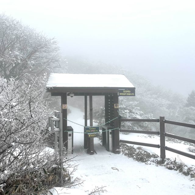 제주 🗻한라산🗻관음사(삼각봉) 등산(왕복6시간)
