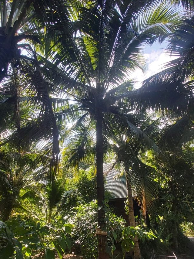 Cafe and Garden สวนเกษตร2000
