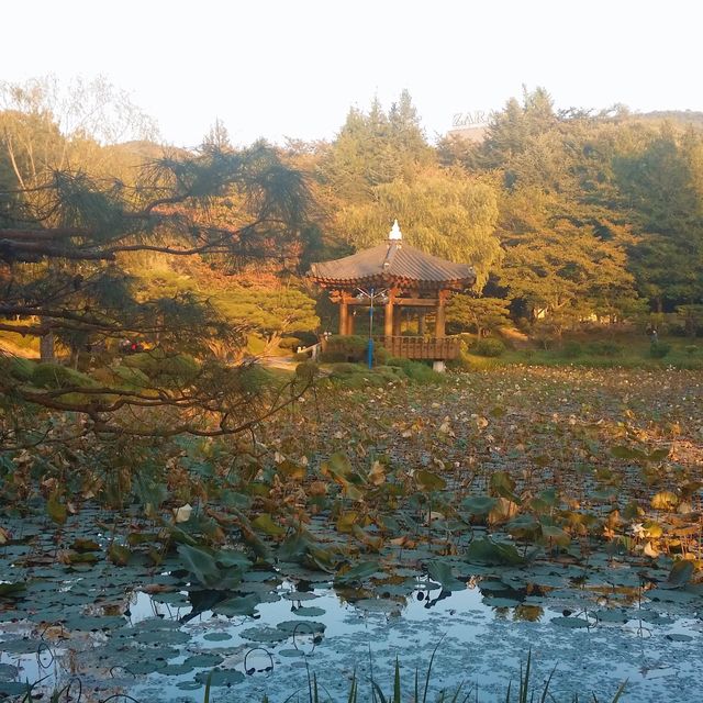 수학여행으로 간 불국사보다 더 좋아~ 혼자여행 경주여행 코스 불국사