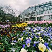 東京最新大型溫室植物園 HANA BIYORI 