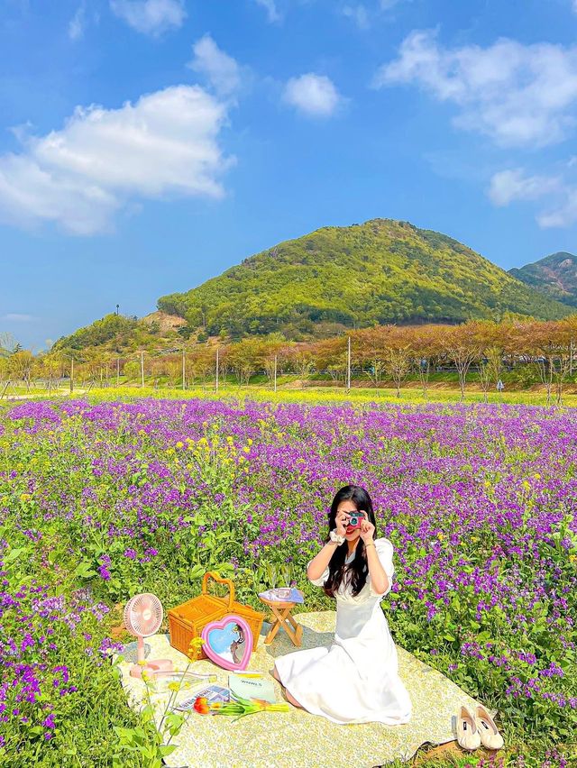 알록달록 꽃들 속에서 즐기는 봄 피크닉💓