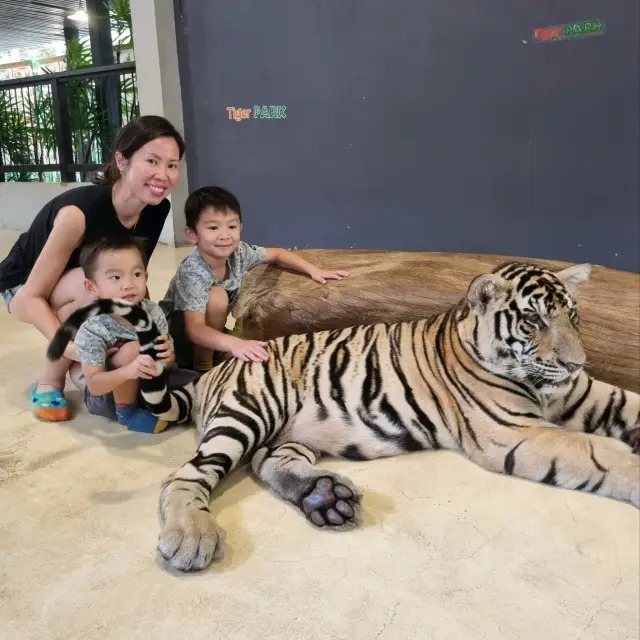 Best Tiger Park in Pattaya!