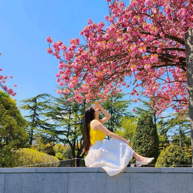 Spring attire at Busan UN Park.