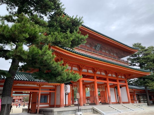 京都　京都観光　2023年平安神宮の桜！