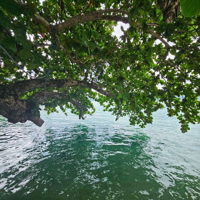 หาดไตรตรัง ภูเก็ต
