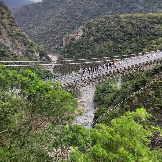 Suspension Bridge and Exhibitions