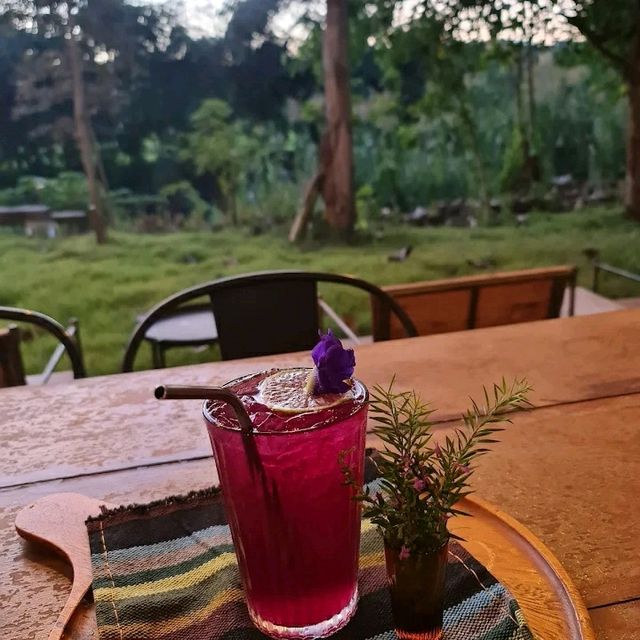 🏕The River Runs ChiangKlang ณ น่าน