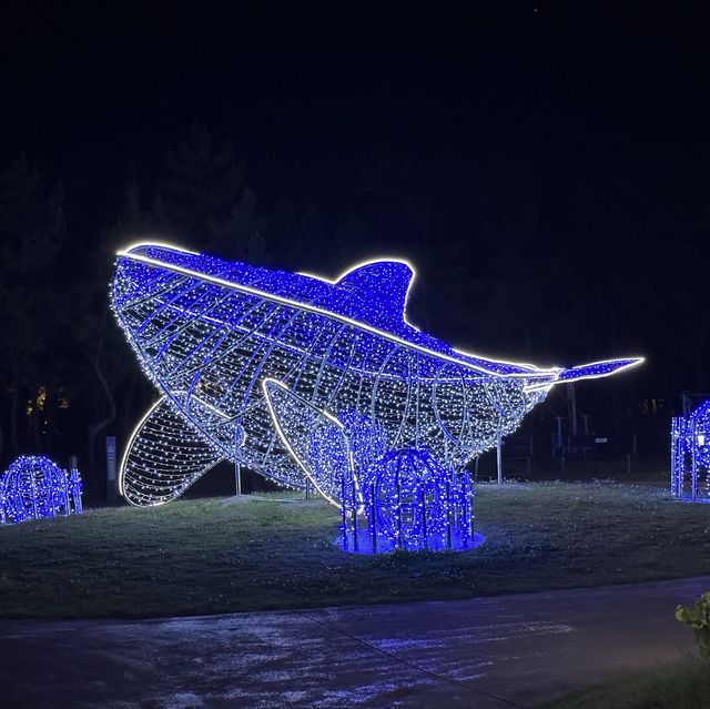 부산 다대포해수욕장 산책코스