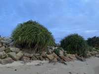 หาดวาสุกรี สายบุรี