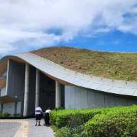 ชมดอกไม้เมืองหนาวที่ระยอง Miracle of Nature 2566