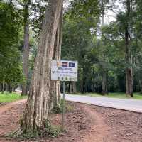 Whispers of Wisdom: Pagoda and School