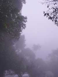 ดอยอินทนนท์ อากาศฟินตลอดปี