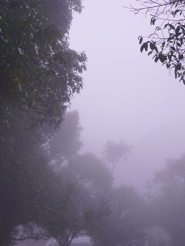 ดอยอินทนนท์ อากาศฟินตลอดปี
