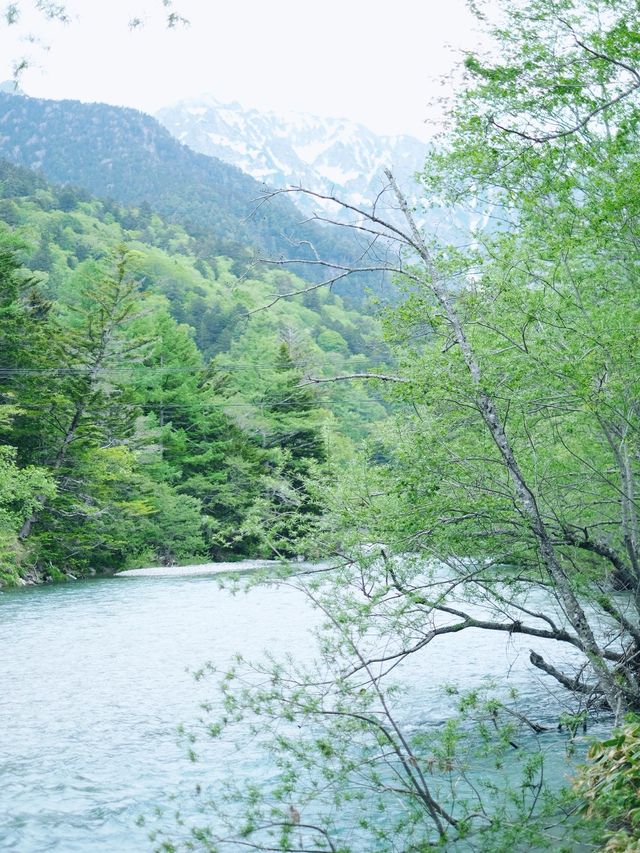 日本上高山景點