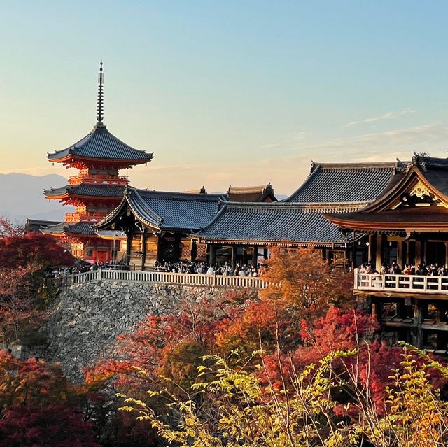 【京都】絶景の清水寺