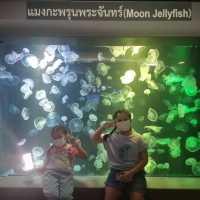 เรียนรู้สัตว์น้ำทะเล @สถาบันวิทยาศาสตร์ทางทะเล 