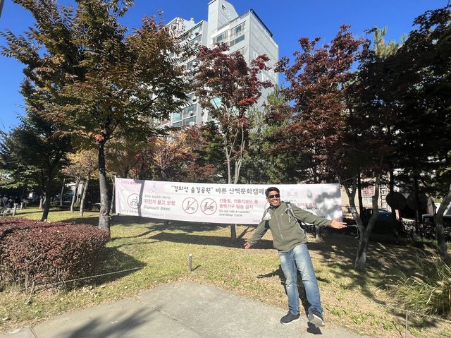 ใบไม้เปลี่ยนสีที่ GYEONGUI LINE FOREST PARK