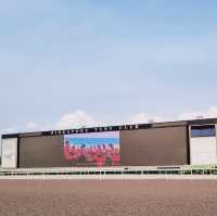 Singapore Turf Club - Worth a visit