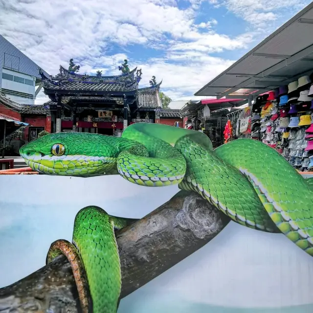 Amazing Snake Temple in Penang