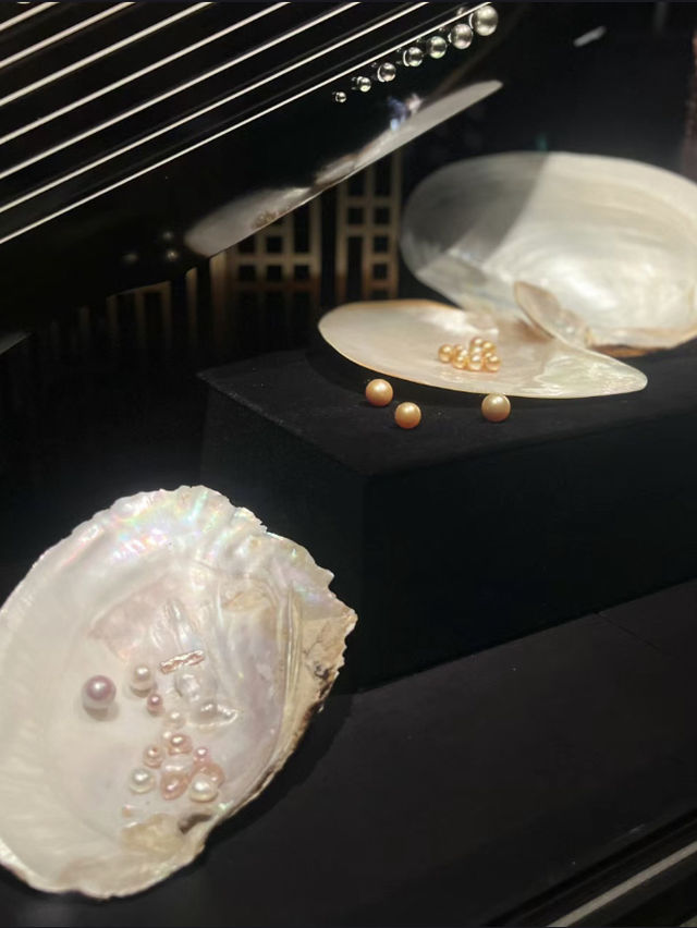 💍視覺盛宴-深圳珠寶博物館