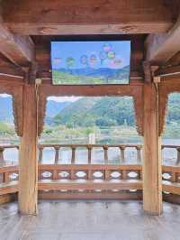 송해공원 백세정에서 달구경해요