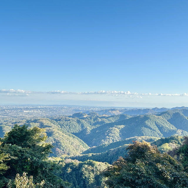 高尾山：登山愛好者的天堂與大自然融合之所