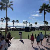 Beautiful Coronado Bench 