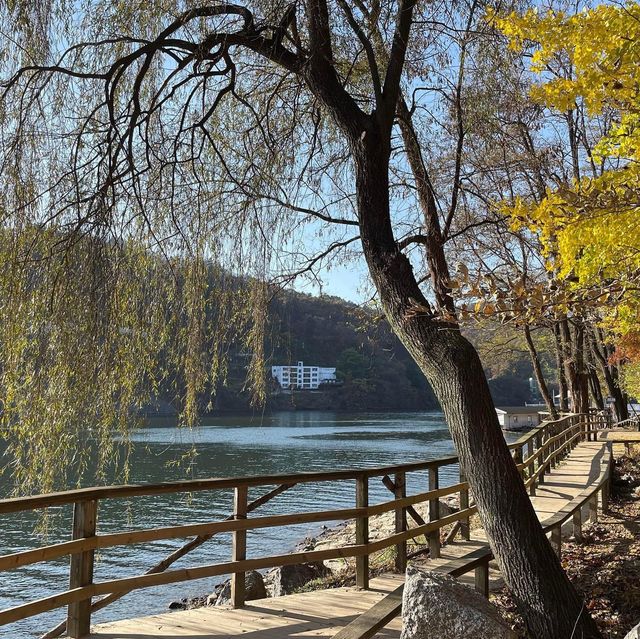 Nami Island:Fall Vibes in Winter Sonata Land