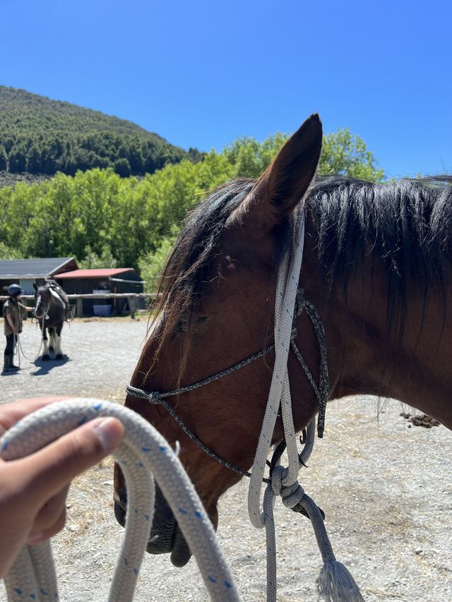 glenorchy騎馬體驗，絕美小鎮騎馬體驗