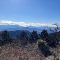 【高尾山】東京で自然を感じたいならココ！