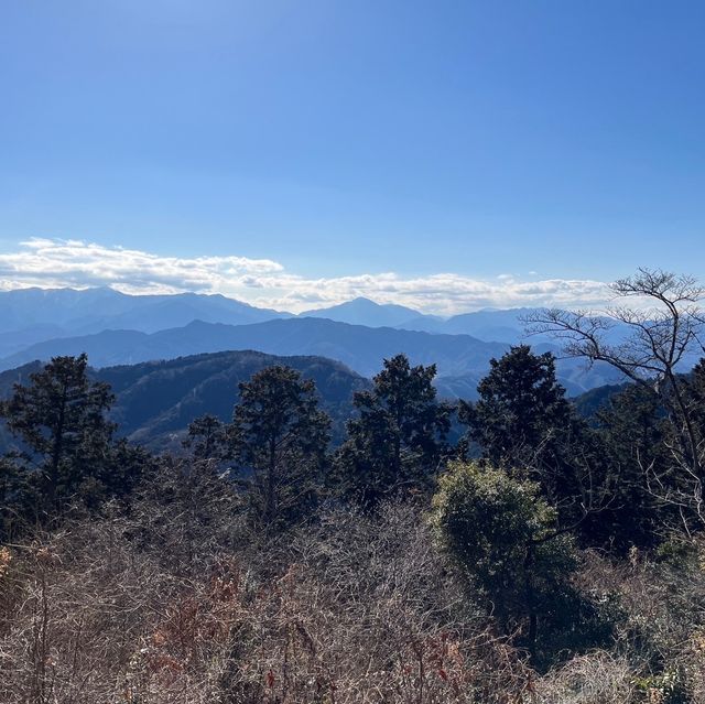 【高尾山】東京で自然を感じたいならココ！