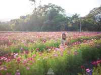 สวนดอกไม้@Verona Tub Lan จ.ปราจีนบุรี