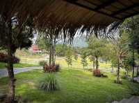 ไปรับลมหนาวกันที่ Royal Good View Resort & Farm 