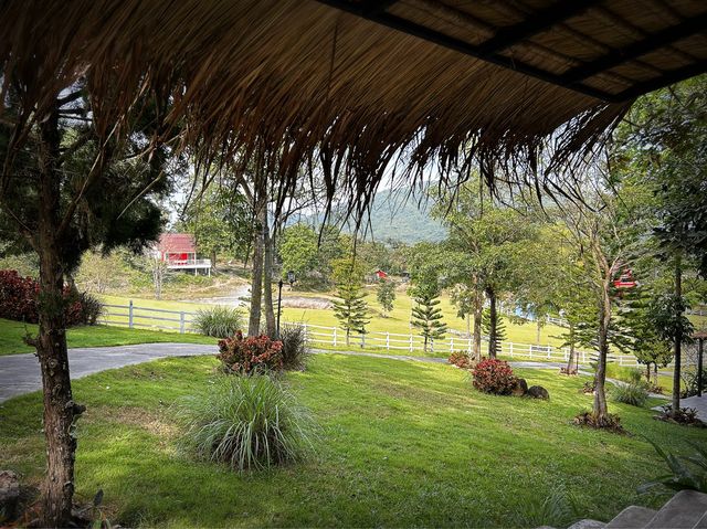 ไปรับลมหนาวกันที่ Royal Good View Resort & Farm 