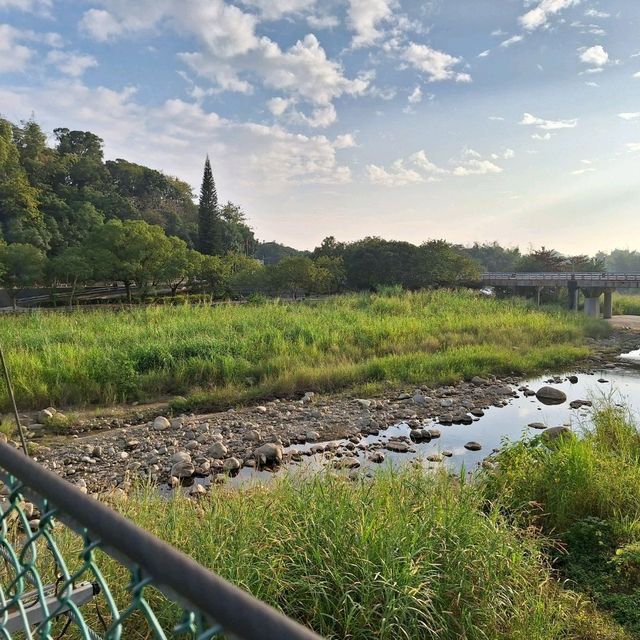 景緻優美-竹崎行千吊橋