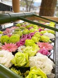 【福岡旅行】四季折々の花手水やお祭りごとを楽しめる素敵な神社
