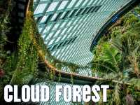 คลาวด์ฟอเรสต์โดม Cloud Forest Dome 🇸🇬