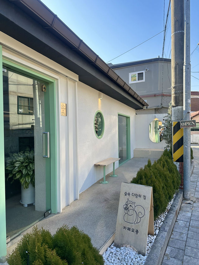 숲속 다람쥐가 살 것만 같은 카페 모종 🐿️