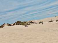 LancelinSandDunes! LezgoQuads!😉😎QuadBikes!