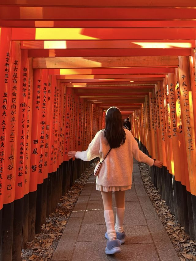 빨간 도리이 터널⛩️ 교토 후시미이나리
