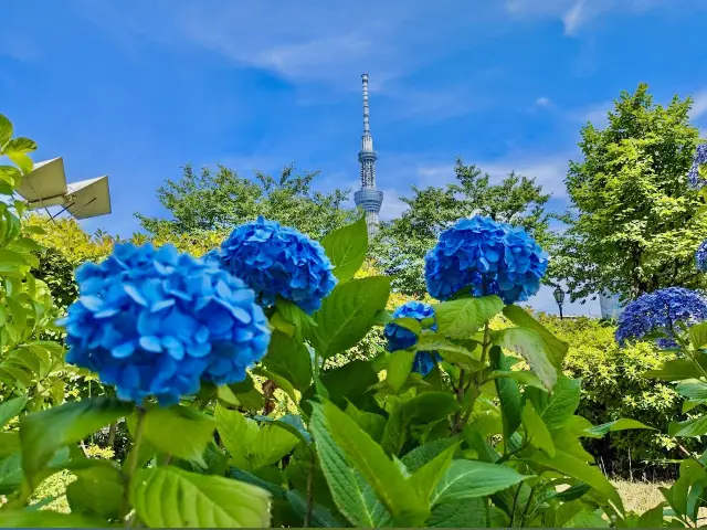 Sumida Park