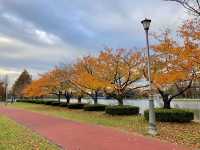 The largest park in Tokyo