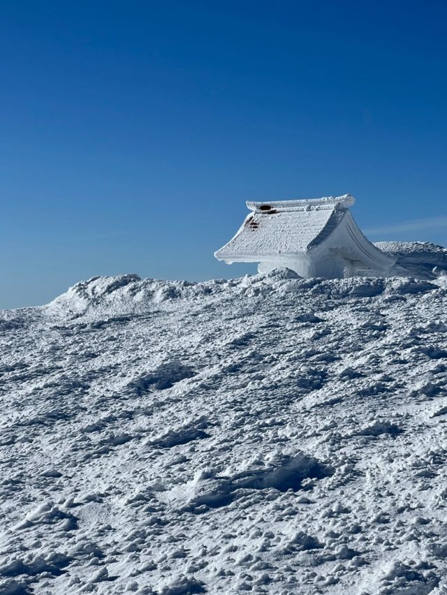 藏王連峰：宮城縣的四季奇景🏔️⛷️