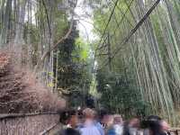 Nonomiya Jinja เทพธิดาแห่งการจับคู่ 💞